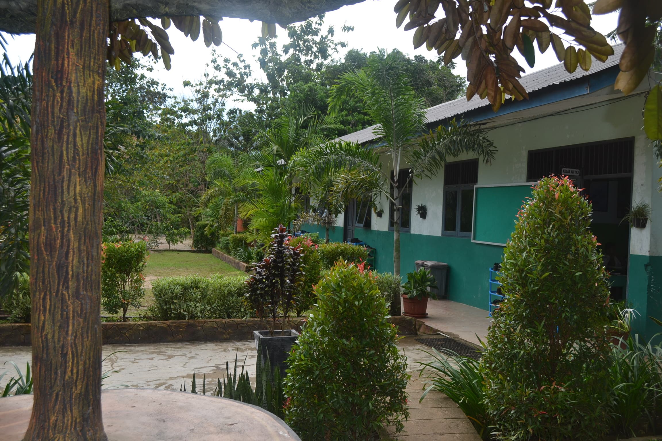 Halaman SMK Terpadu Madina dengan jalan setapak menuju ruang kelas
